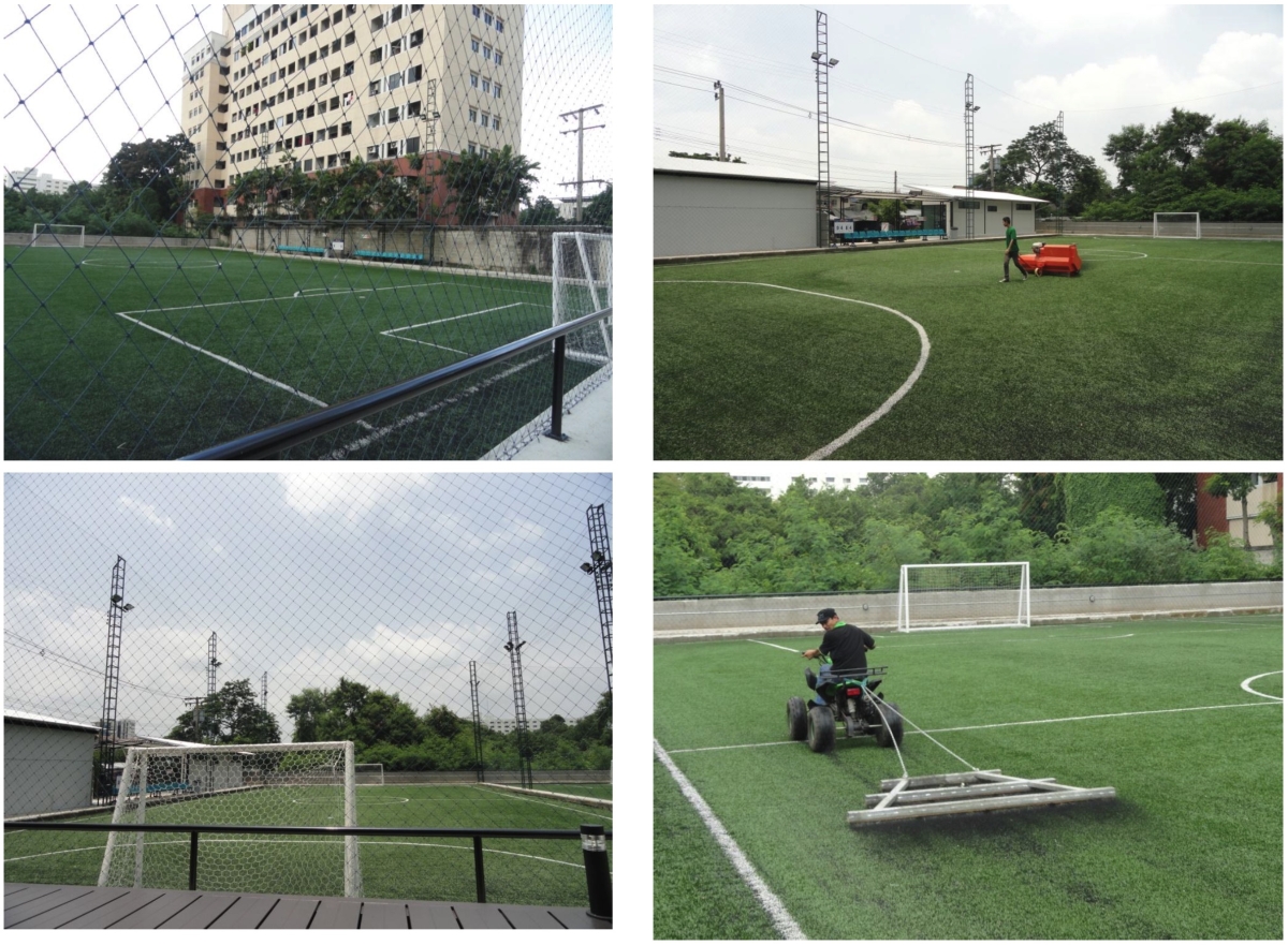 Xnip2569-01-09_16-36-36.jpg - Twin tree at 24 พหลโยธิน 24 | https://landoncorp.com